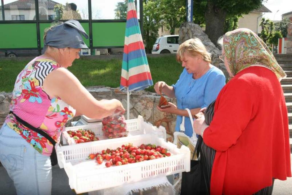 Lai arī daudziem cilvēkiem  šobrīd noteicošā ir cena un viņi ir gatavi pirkt arī ārzemju zemenes, daudzi tomēr izvēlas mūsu pašu vietējo produkciju un atzīst, ka tā ir daudz labāka.
Autors: Evita Brokāne