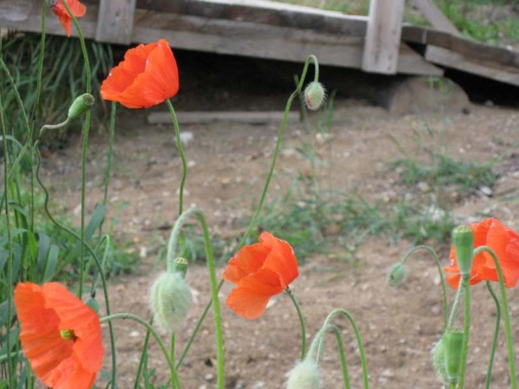 Autors: Tamāra Ulase