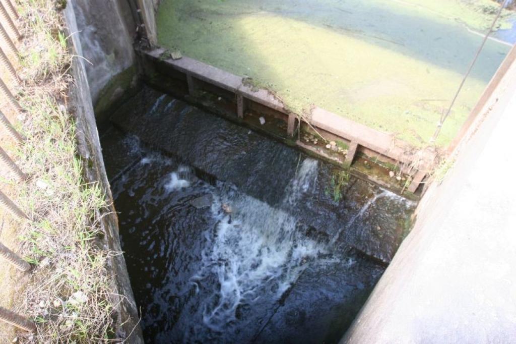 Autors: Gatis Bogdanovs