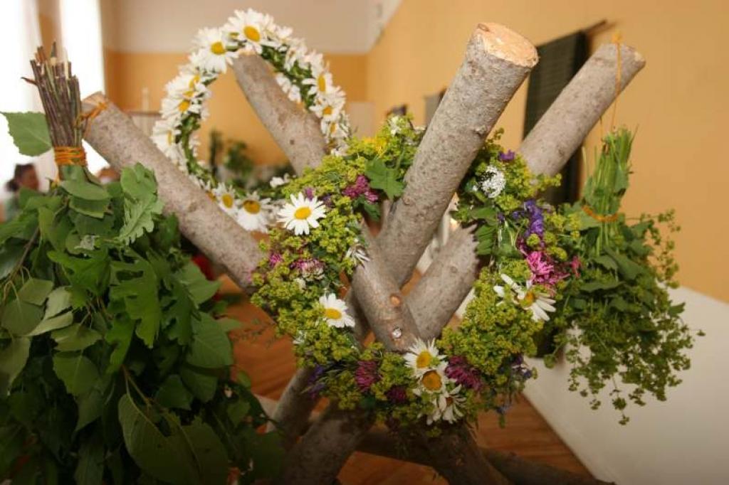 Autors: Evita Brokāne