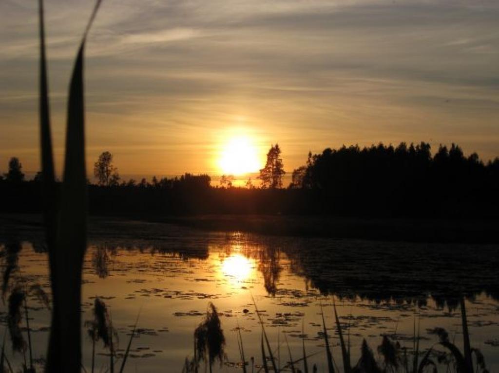 Autors: Tamāra Ulase