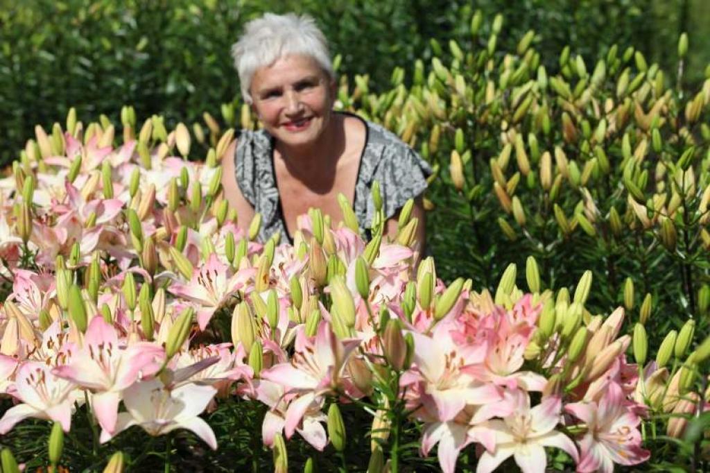“Lilijas ir mans lielais hobijs. Sākām ar trim mazām dobītēm, un tagad te ir apmēram 50 šķirnes,” saka Astra Vilde. 
Autors: Gatis Bogdanovs