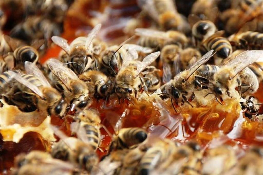 Autors: No personiskā albuma