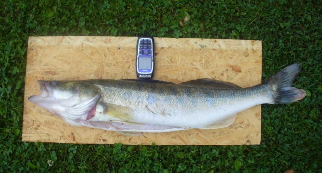 Autors: No personiskā albuma