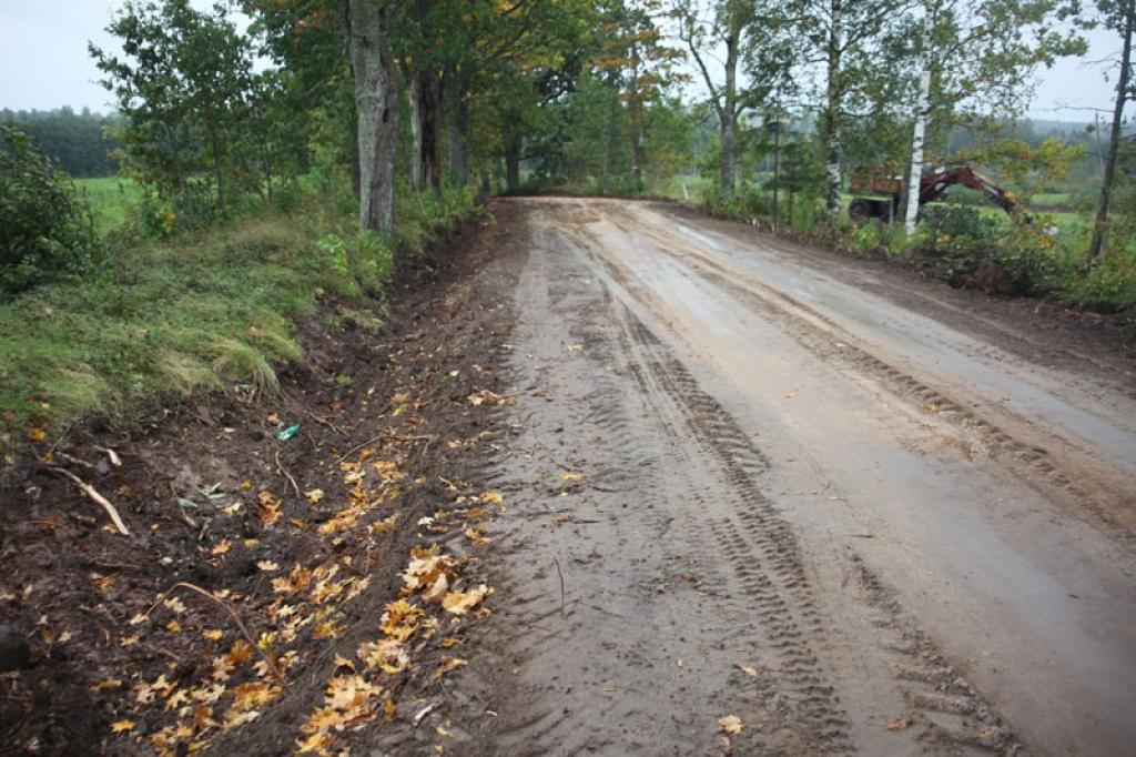 Autors: Gatis Bogdanovs