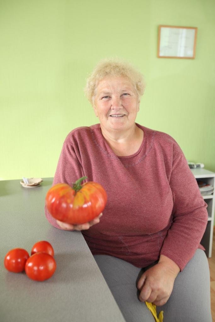 Gulbenietes Brīvas Oplucānes, kura dzīvo Ābeļu ielā 27, neapkurināmā plēves siltumnīcā izaudzis 700 gramu smags tomāts. 
Autors: Gatis Bogdanovs