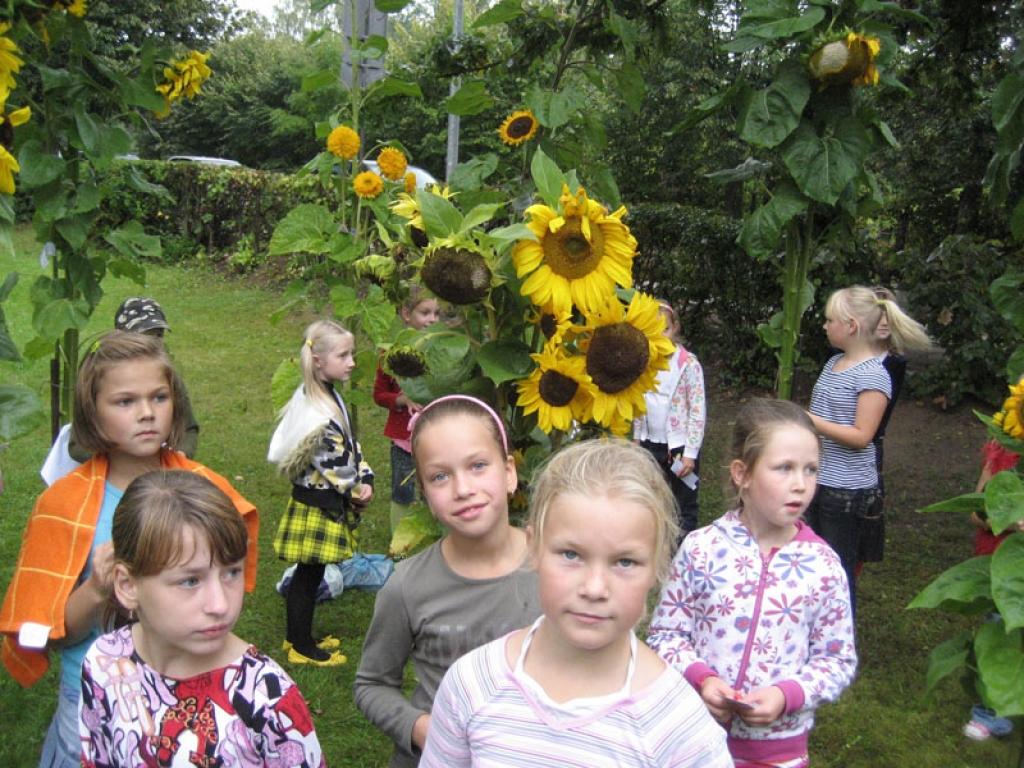 Autors: Diāna Odumiņa