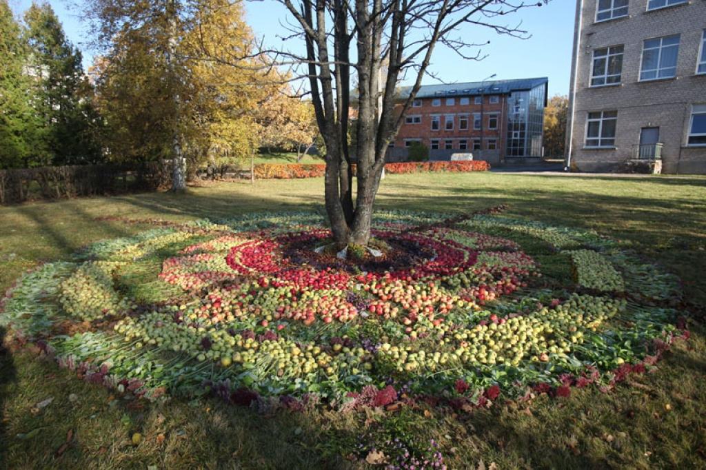 Inese Gabrāne saka, ka Gulbenes vidusskolas 65 gadu jubilejas mandala saliedēja gan tās veidotājus, gan skatītājus un dāvāja brīnišķīgu pozitīvo enerģiju. 
Autors: Gatis Bogdanovs