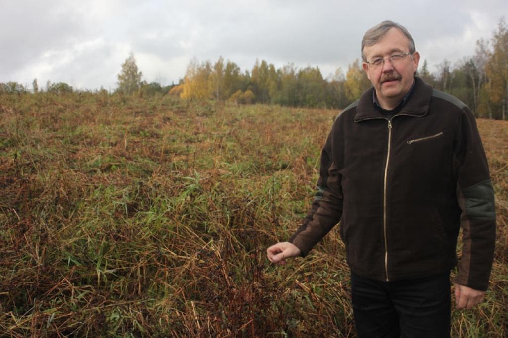  “Žēl, ka šoruden tā arī neizdevās novākt pusi no rapsim atvēlētās platības, lai gan raža bija laba. Tā pākstis jau ir atvērušās, un sēklas izbirušas zemē. Zemniekam jau katru gadu kaut kas ir jāzaudē,” saka Stāmerienas pagasta zemnieku saimniecības “Priednieki” saimnieks Mārtiņš Upāns. 
Autors: Gatis Bogdanovs
