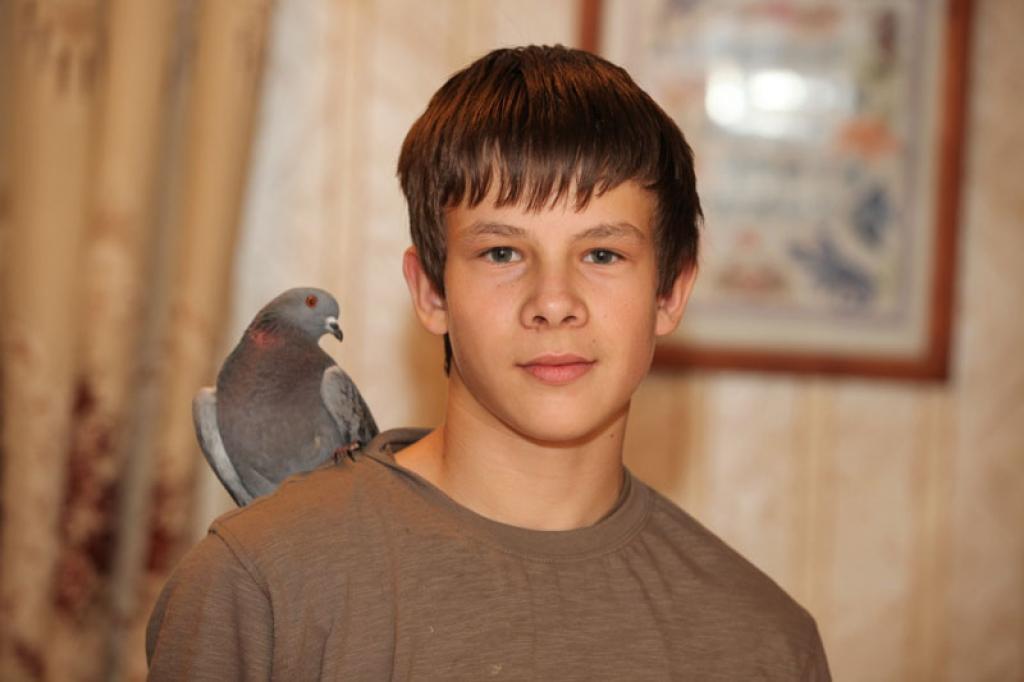 Artis Kadils stāsta, ka viņš apmēram pirms gada balodi esot atradis tirgū. “Viņš bija viens pats, lidot viņš nemācēja un man palika žēl,” stāsta Artis.
Autors: Gatis Bogdanovs