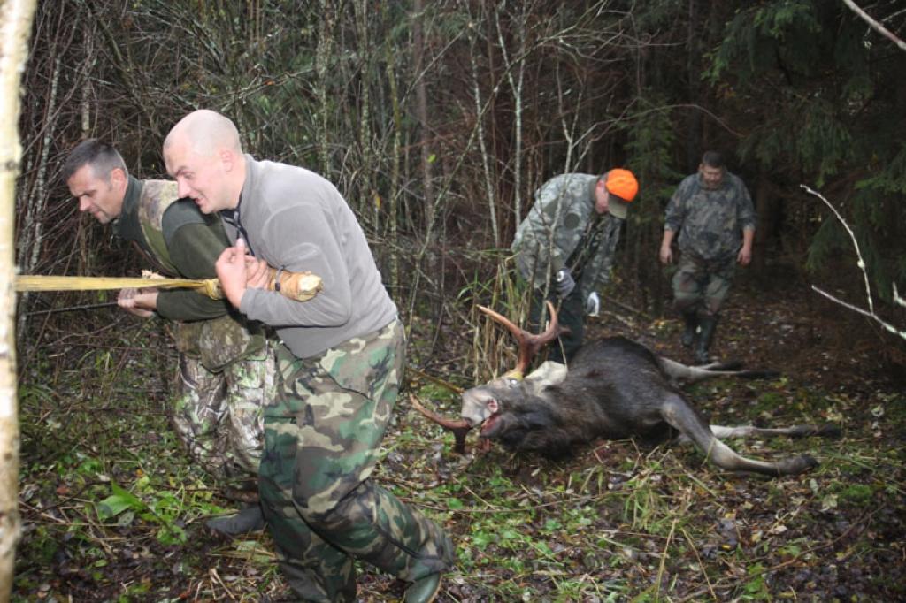 Pagājušās nedēļas nogalē veiksmīgas medības izrādījās SIA 