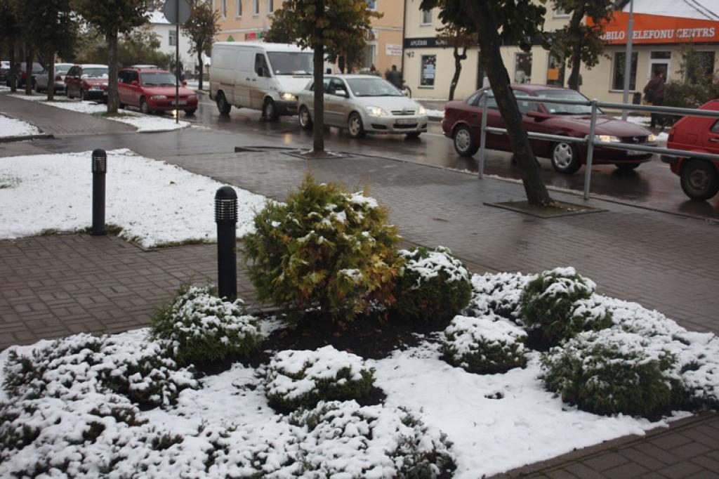 Autors: Gatis Bogdanovs