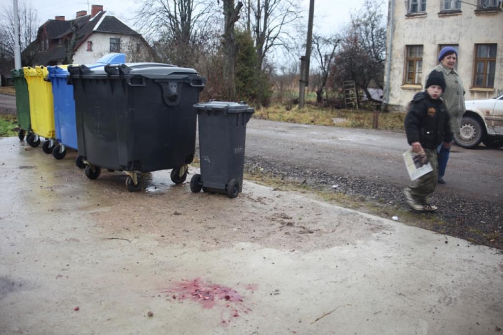 Gulbenē, Viestura ielā, šajā vietā, pie miskastēm, mednieks nošāva jenotsuni, kas līdz tam vairākas stundas mocījās agonijā, jo tajā bija atstātas iedurtas dakšas.
Autors: Gatis Bogdanovs