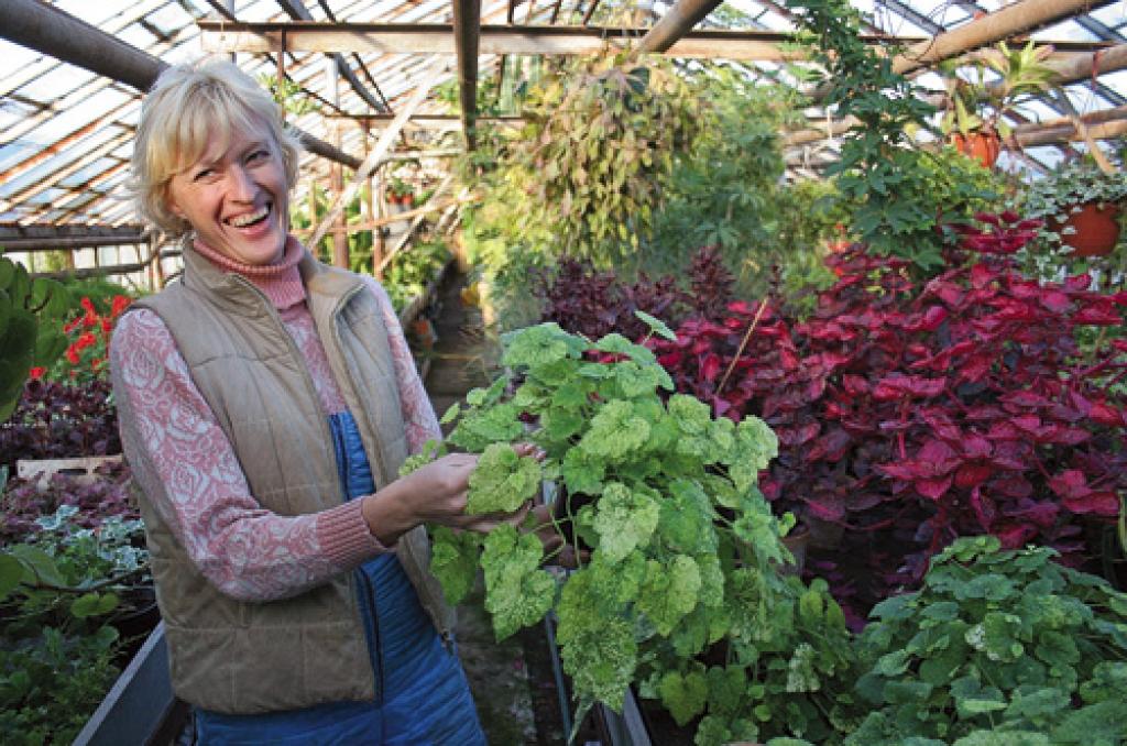 Autors: Agris Samcovs