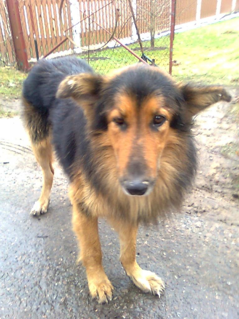 Autors: Ilvita Kļaviņa