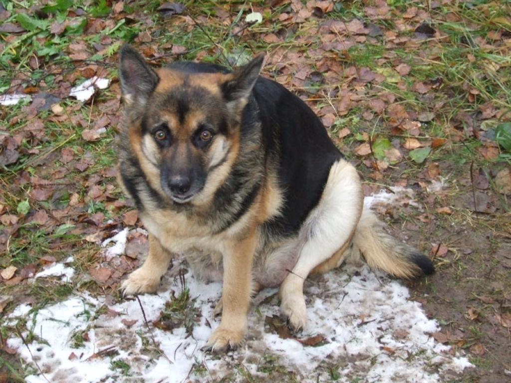 Autors: No personiskā albuma