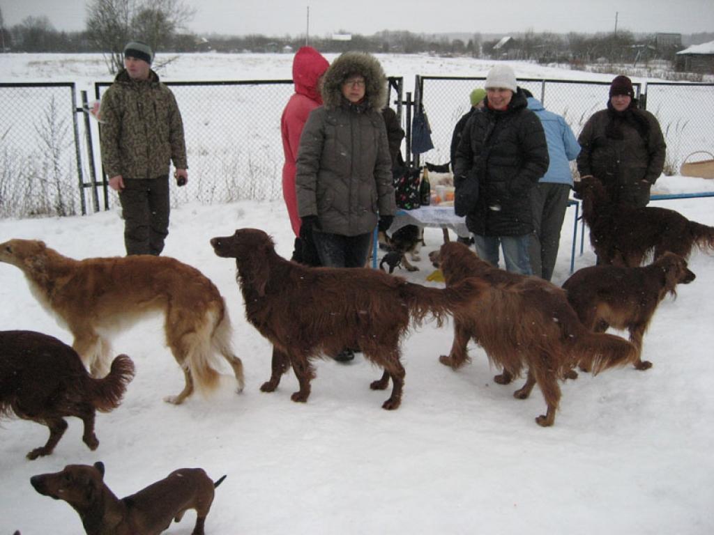 Apmēram 20 suņi un viņu saimnieki slapjajā trešo Ziemassvētku dienā pulcējās kopā pie savas svētku egles Gulbenē. 
Autors: Diāna Odumiņa