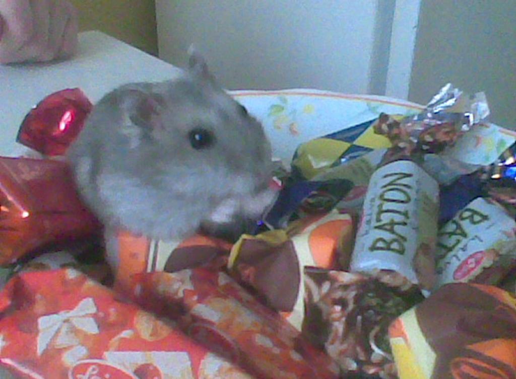 Autors: Arvils Antonovs