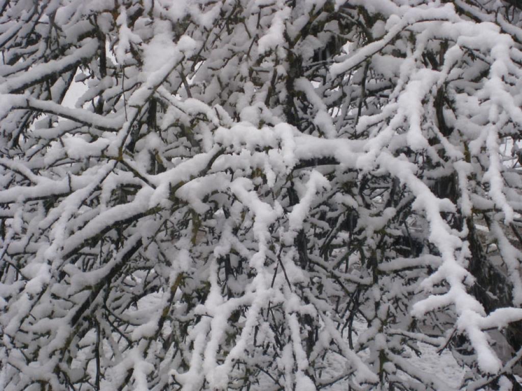 Autors: Tamāra Ulase