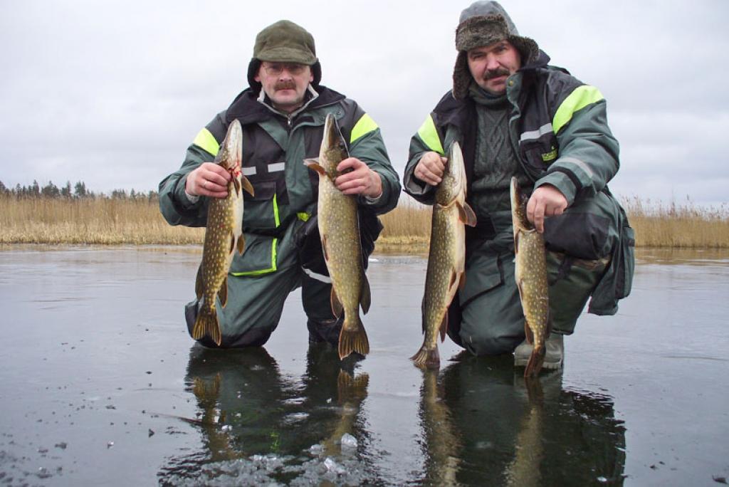 Autors: No personiskā albuma