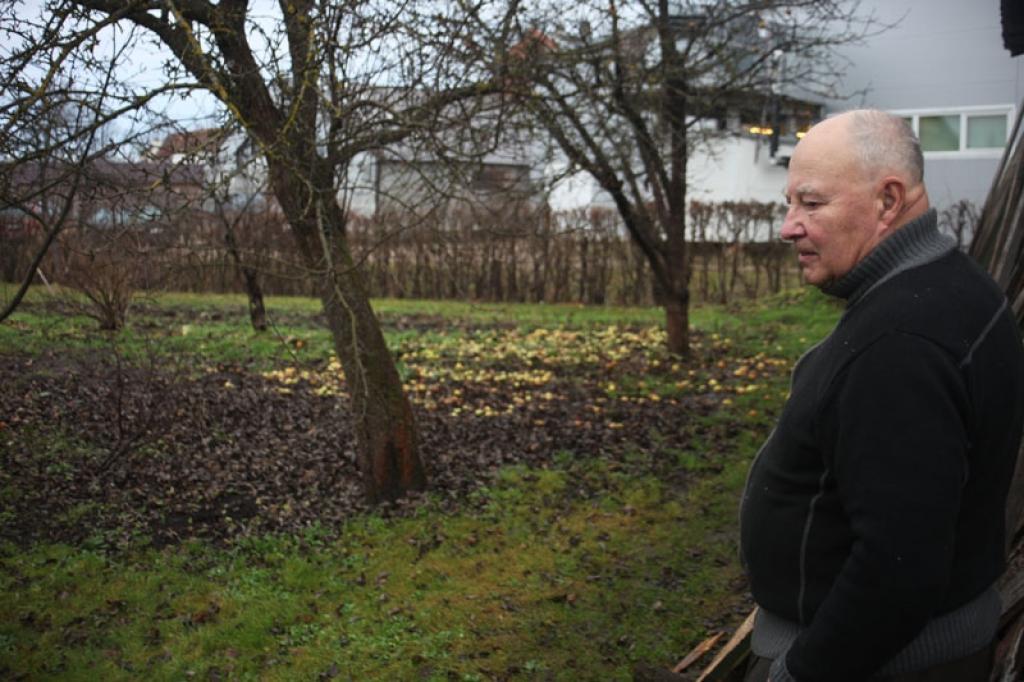 Miervaldis Ābelīte stāsta, ka pavasaros un rudeņos viss privātais dārzs ir ūdenī.
Autors: Gatis Bogdanovs