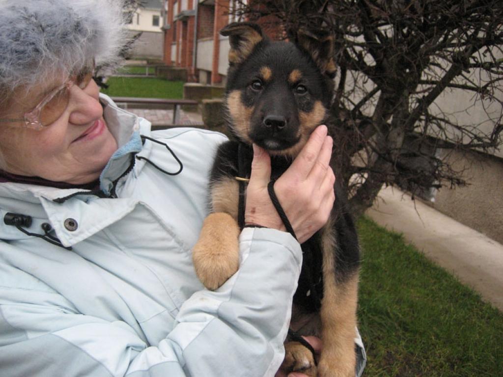 Aptuveni divus mēnešus vecajai suņu meitenei ap kaklu ir pretblusu siksniņa melnā krāsā. Lūdzam atsaukties sunītes saimnieku.
Autors: Diāna Odumiņa