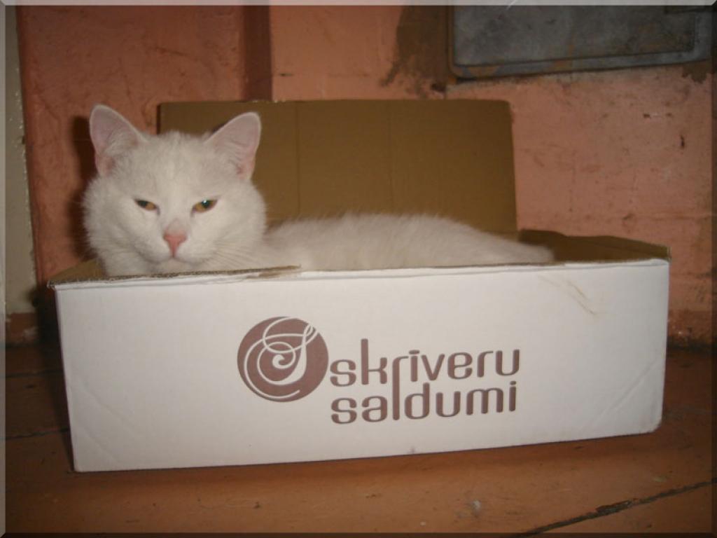 Autors: 8778: Sarmīte Ozola