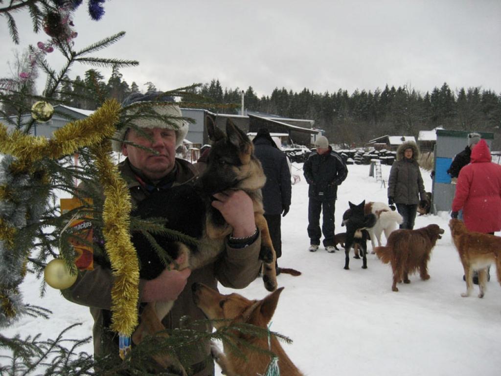 Autors: Diāna Odumiņa