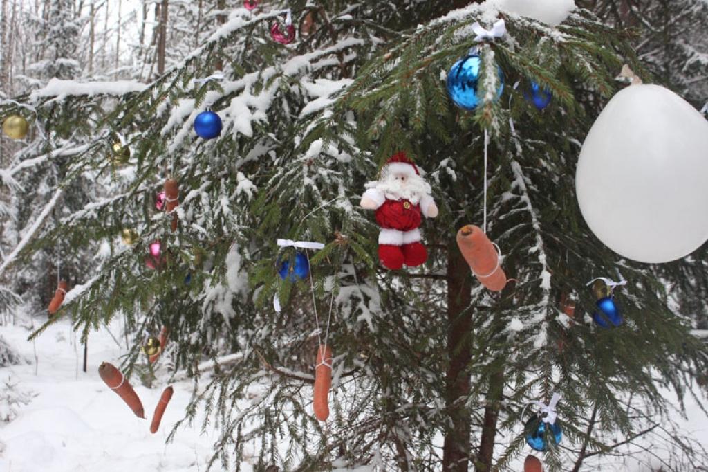 Autors: Gatis Bogdanovs