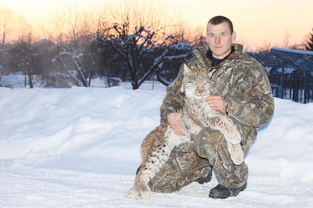 Raivja Timofejeva nomedītā lūšu māte sver 21 kilogramu.
Autors: Gatis Bogdanovs