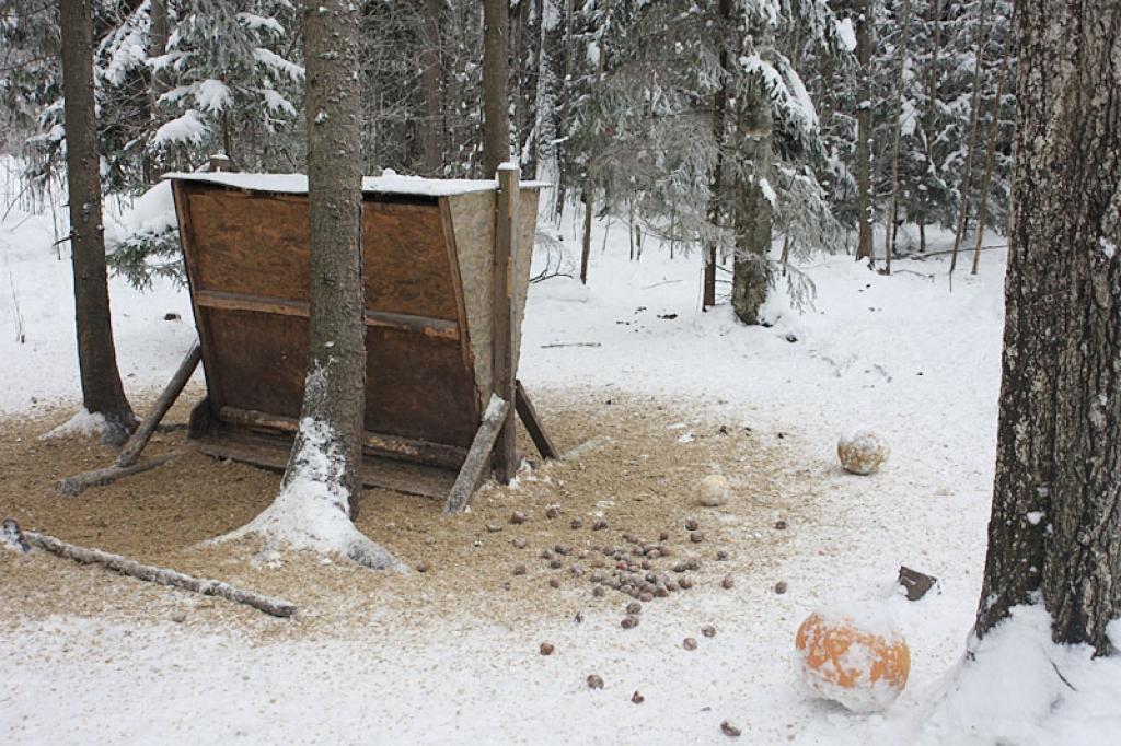 Autors: Gatis Bogdanovs