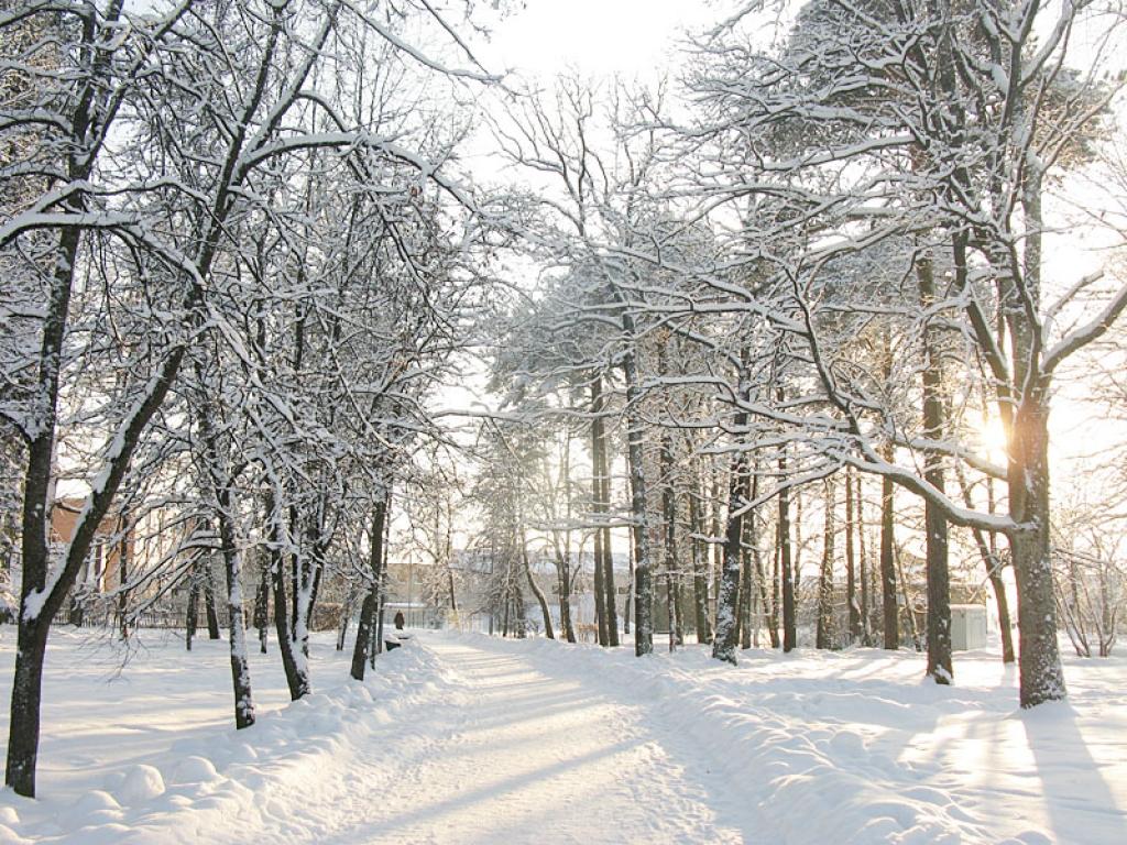 Autors: Gatis Bogdanovs