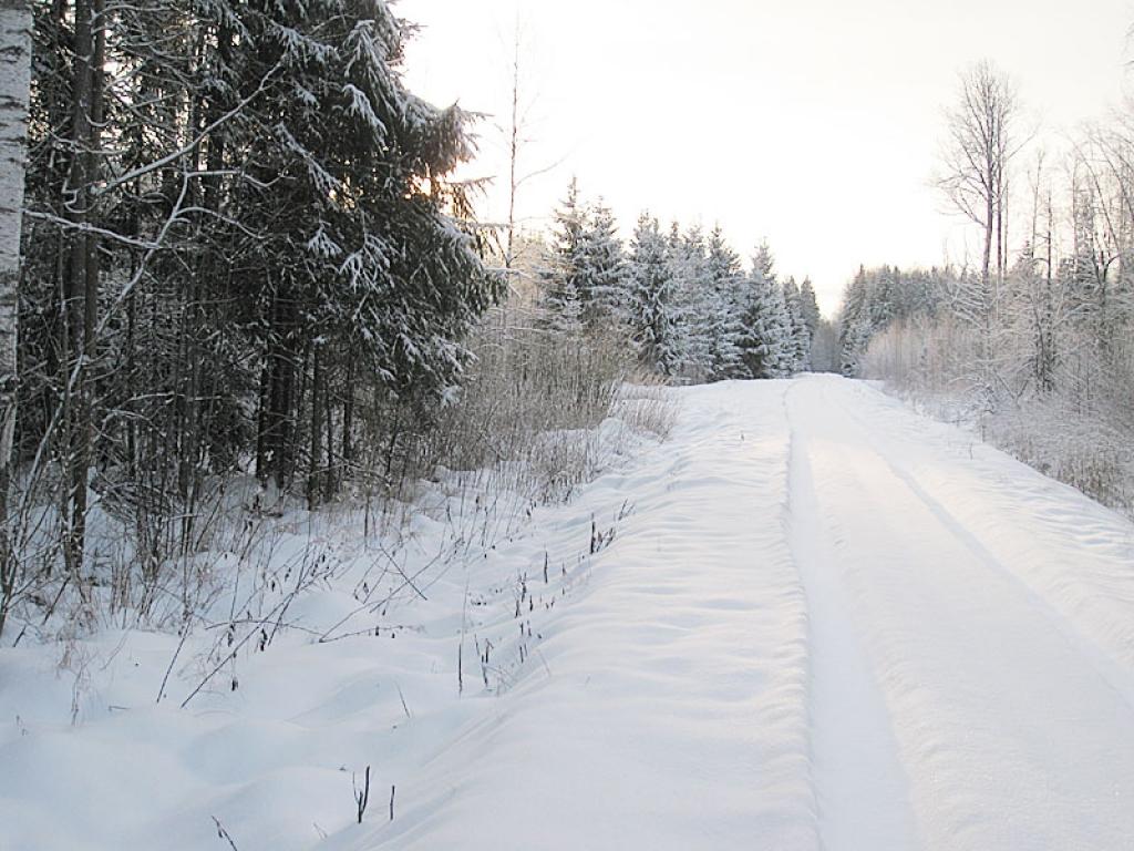 Autors: Gatis Bogdanovs