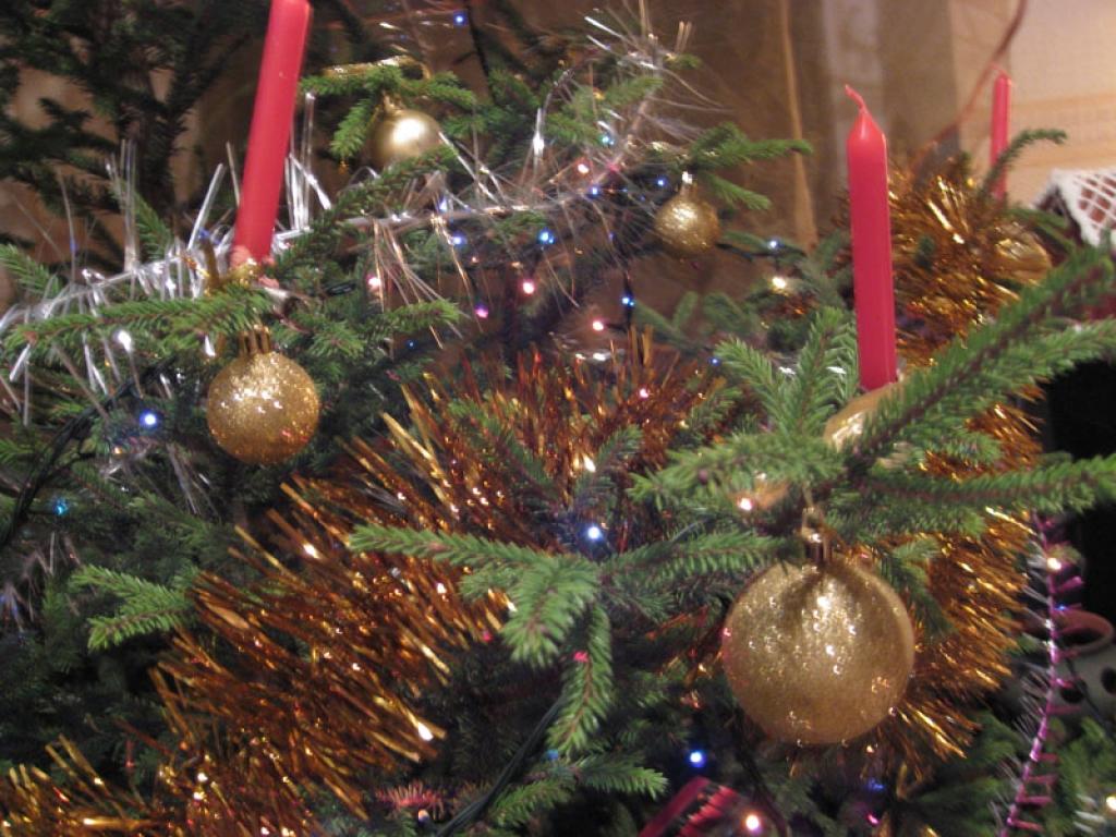 Autors: Tamāra Ulase