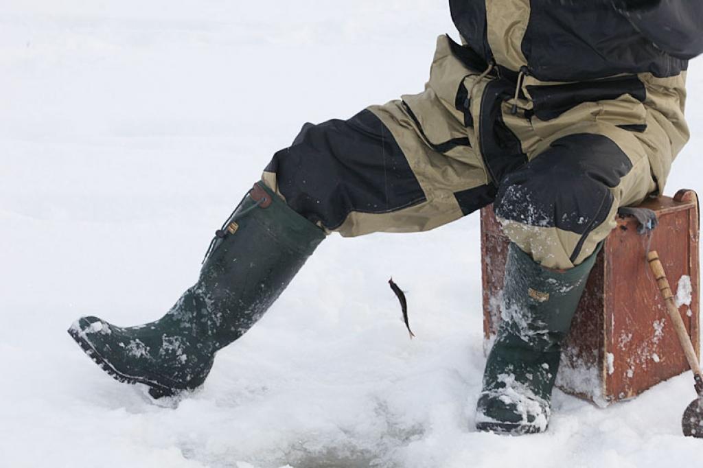 Autors: Gatis Bogdanovs