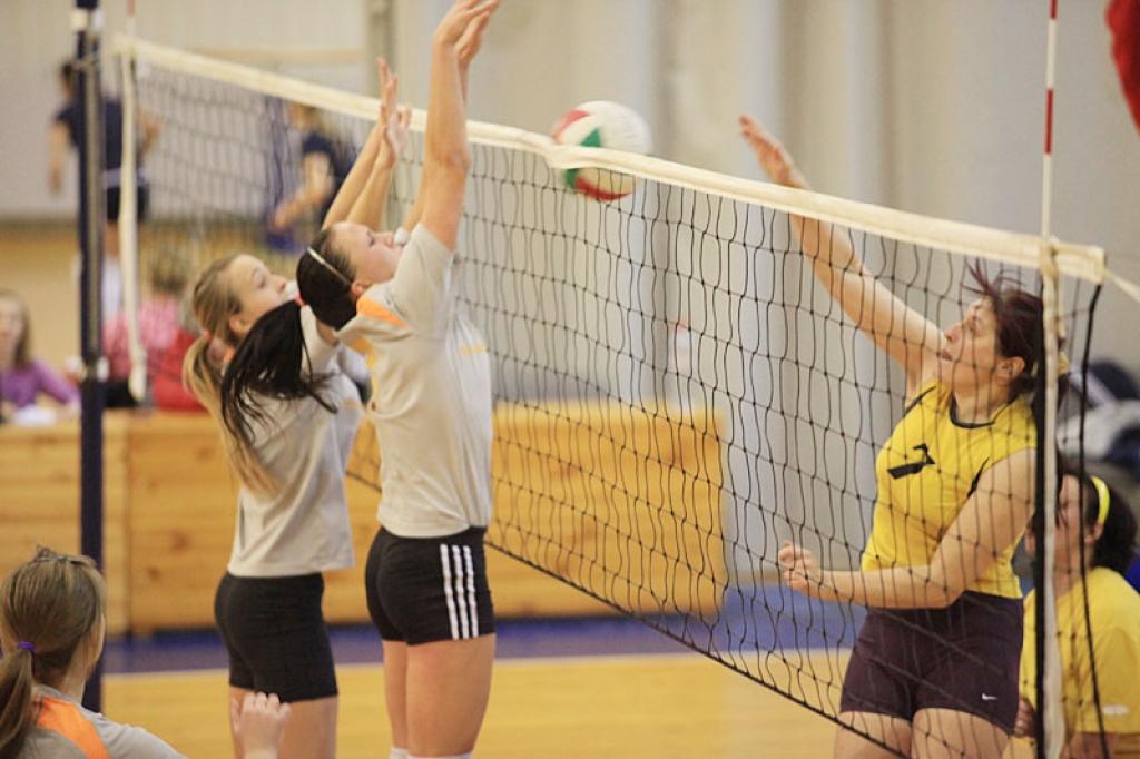 Autors: Gatis Bogdanovs