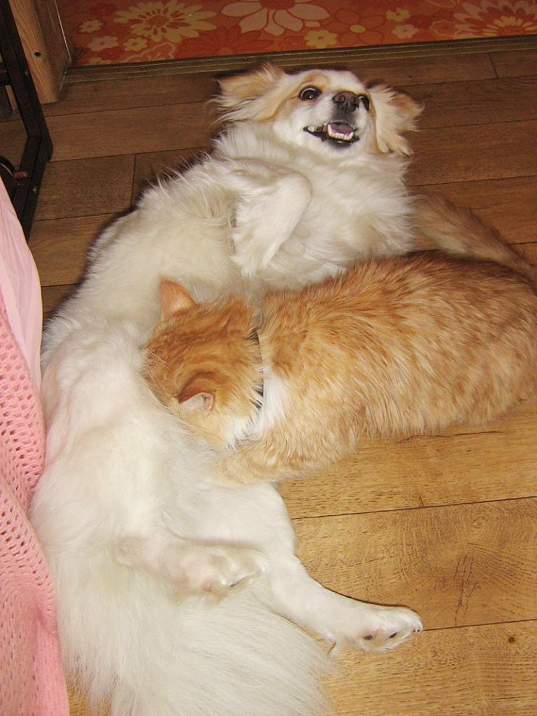 Autors: Diāna Indrele