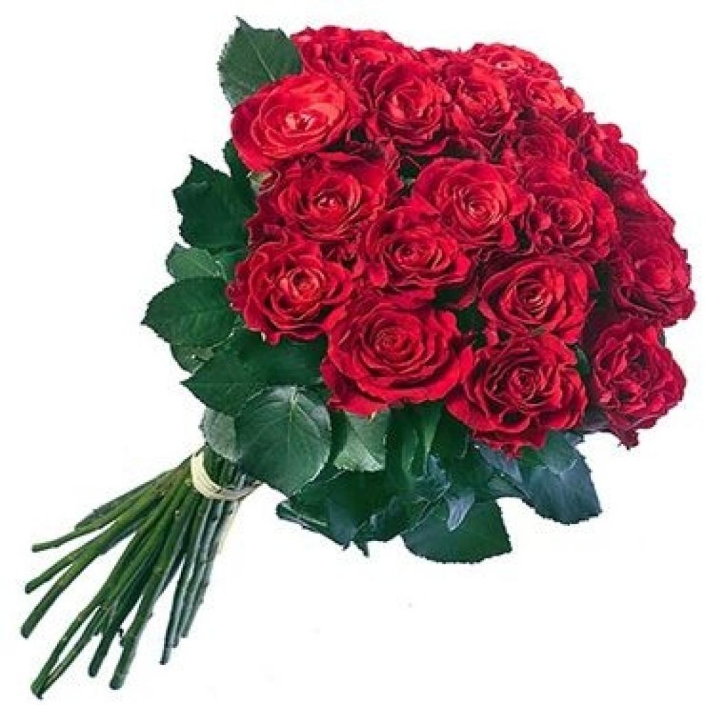 Autors: www.zieduveikals.lv