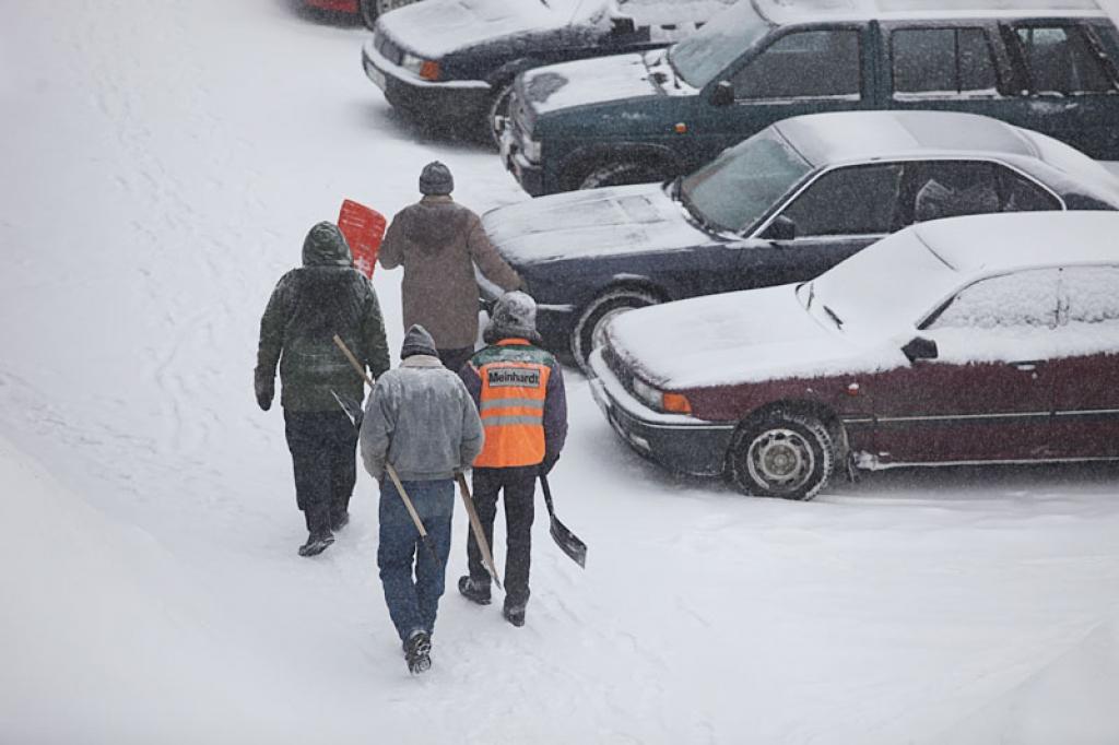 Autors: Gatis Bogdanovs