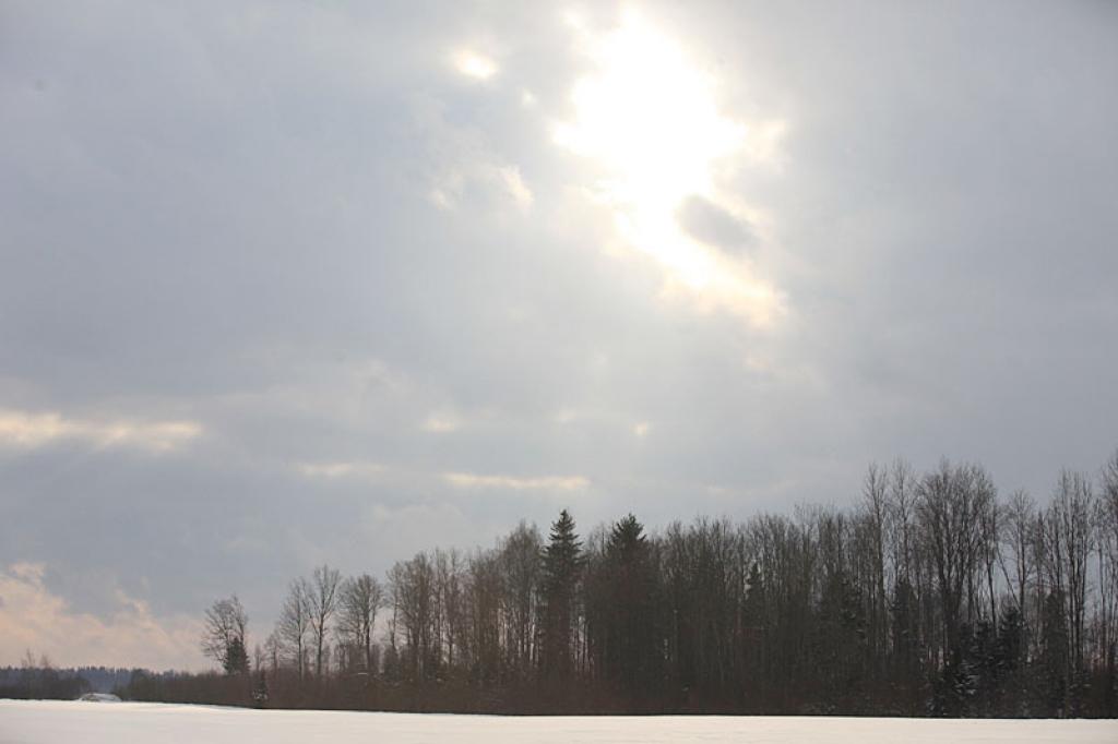 Autors: Gatis Bogdanovs