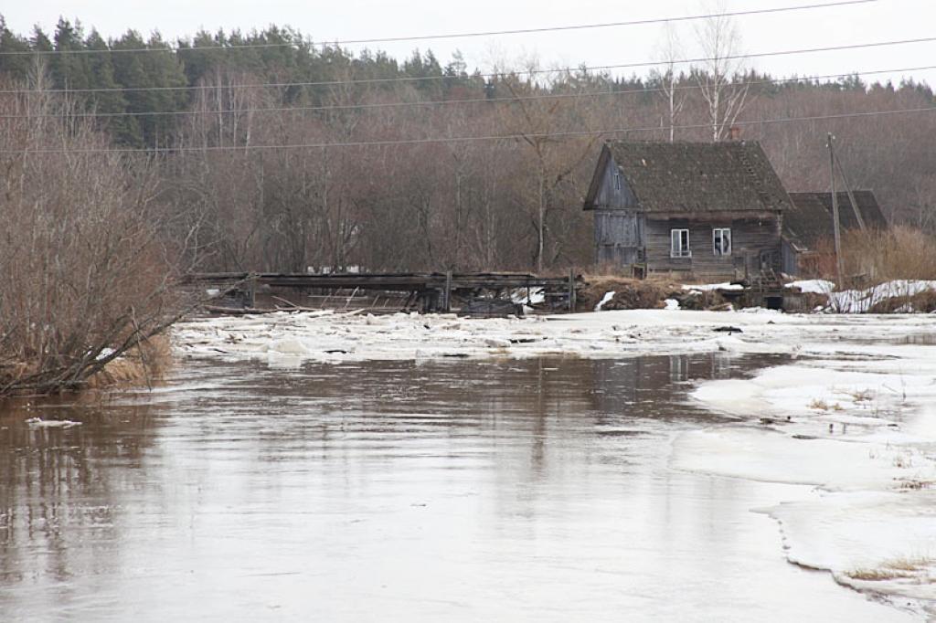 Ledus sastrēgums Gaujā varētu aizraut līdzi arī veco Velēnas dzirnavu aizsprostu.
Autors: Evita Brokāne