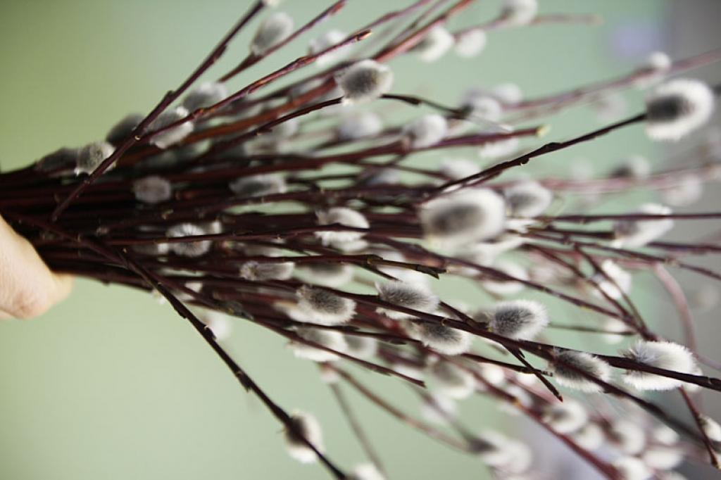 Autors: Gatis Bogdanovs