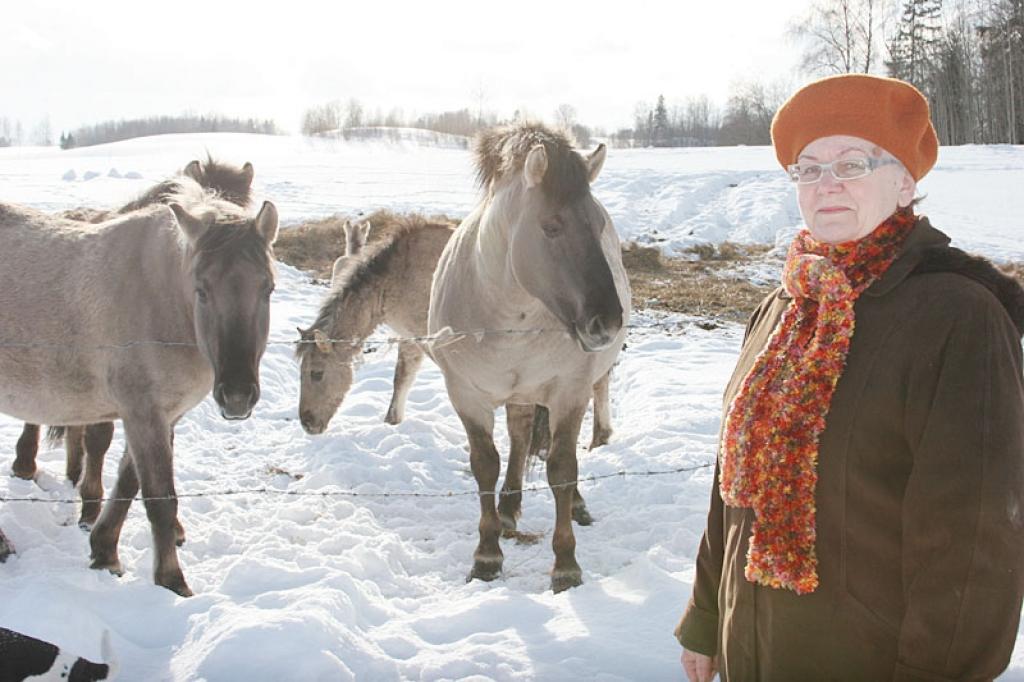 Galgauskas pagasta zemnieku saimniecībā “Lazdukalns” aplokos šobrīd ir 5 pieaugušie zirgi un viena kumeļu meitene, kas ķēvei Olei piedzimusi naktī no 7. uz 8.martu, tāpēc saimniece Valda Vītola smejas, ka kumeliņš viņai esot Sieviešu dienas dāvana. Tagad tiekot domāts vārds, jo tam, tāpat kā mātes vārdam jāsākas ar o burtu. “Dabas māte  savvaļas zirgu kumeliņus saģērbj ļoti skaisti. Arī šim ir gaišs gandrīz balts kažoks un pūkainas baltas kājas, pati – apaļa kā plūmīte,” priecājas saimniece. Ganāmpulka papildinājums esot gaidāms arī maijā. 
Autors: Gatis Bogdanovs