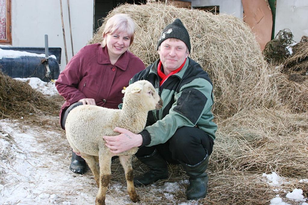 Līgo pagasta zemnieki Alda un Zigurds Lauri ir gatavi attīstīt aitkopību vēl plašāk, bet tas būs iespējams tikai tad, ja beidzot ieņēmumi apsteigs izdevumus. Atliek vien zīlēt, kad tas būs.
Autors: Gatis Bogdanovs