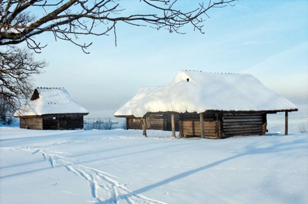 Autors: Dzīvespriekam