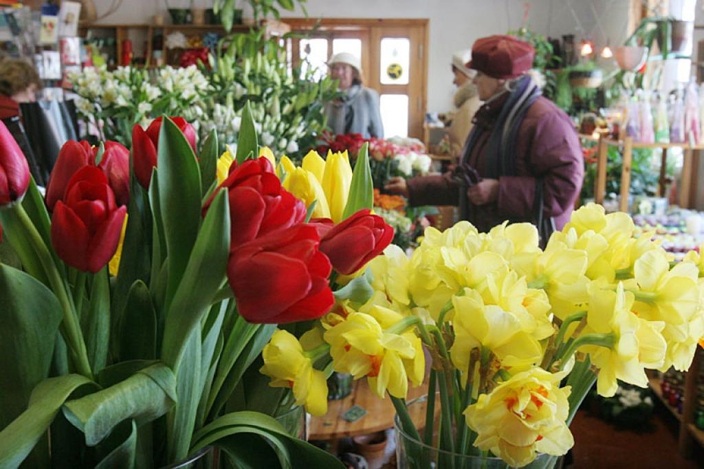 Aptaujātie gulbenieši sievietes 8.martā tradicionāli pārsteigs ar ziediem.
Autors: Gatis Bogdanovs