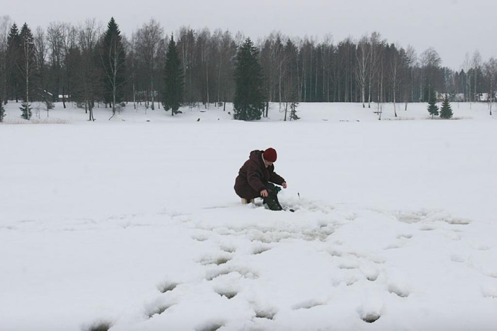 Autors: Gatis Bogdanovs