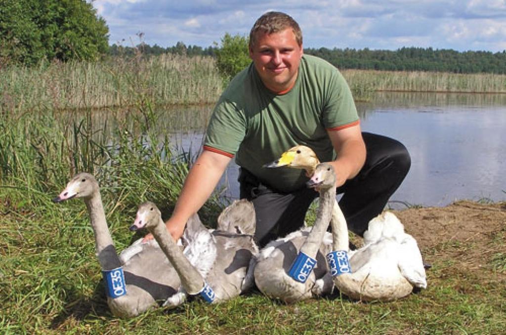 Autors: No Dmitrija Boiko albuma