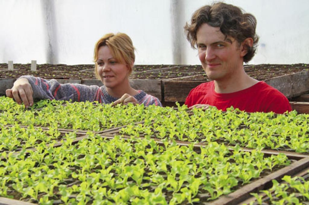 Autors:  Agris Samcovs