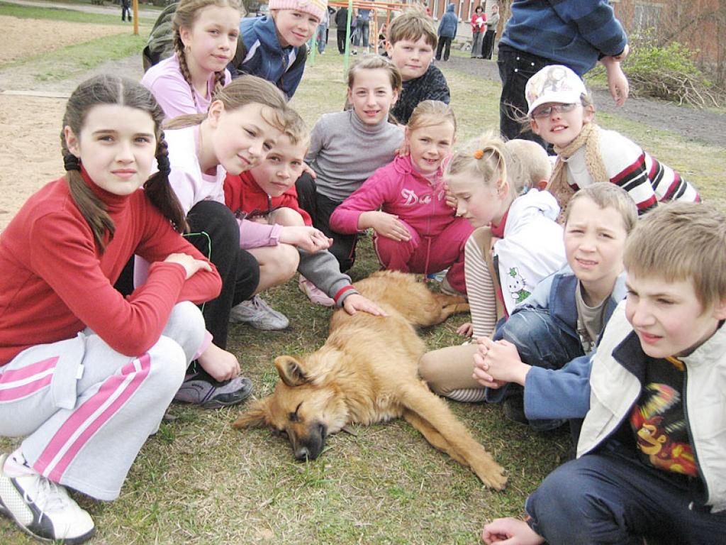 Bērni sunīti bija apstājuši skolas stadionā. Tur tas mierīgi zālē gulēja un ļāvās, lai visi viņu glāsta un mīļo. 
Autors: Diāna Odumiņa